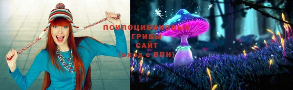 прущие грибы Пересвет