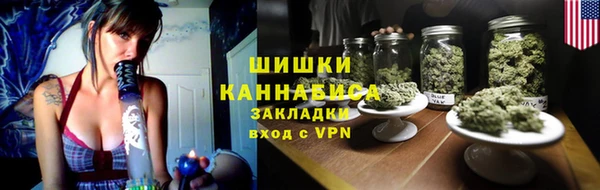 прущие грибы Пересвет