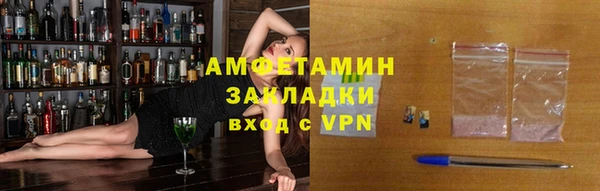 прущие грибы Пересвет