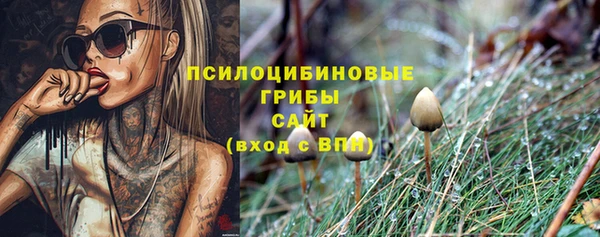 метадон Бутурлиновка