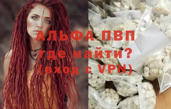 прущие грибы Пересвет