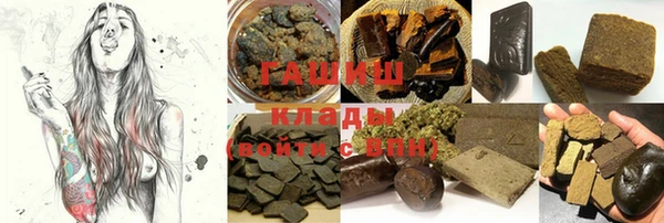 прущие грибы Пересвет