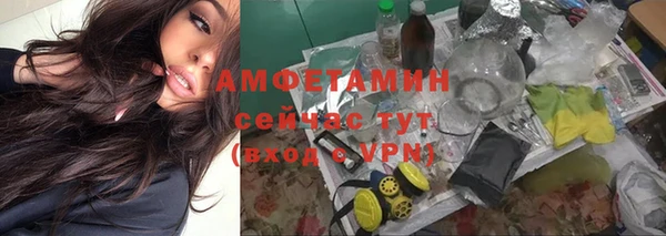 прущие грибы Осинники