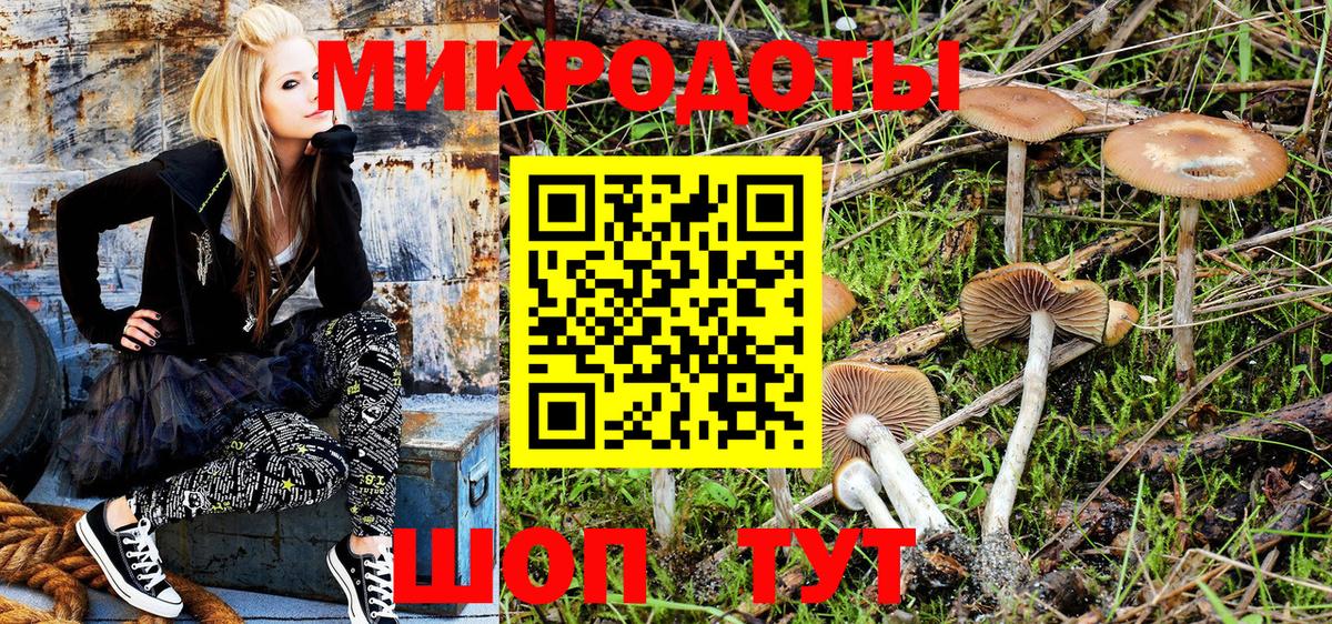 Псилоцибиновые грибы GOLDEN TEACHER  Вход с VPN  Галлюциногенные грибы Psilocybine cubensis  Ртищево 