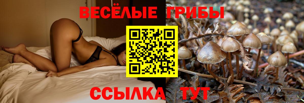 Галлюциногенные грибы ЛСД Ртищево
